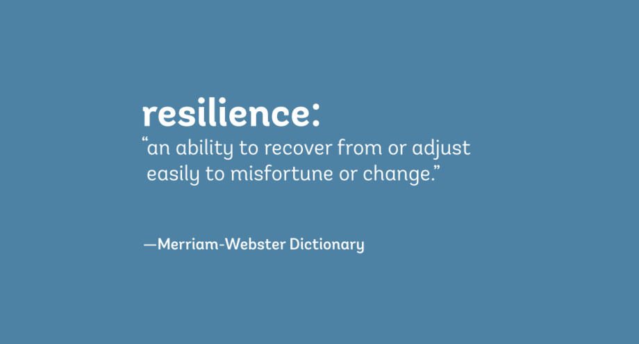 The Significance of Resilience across Various Industries