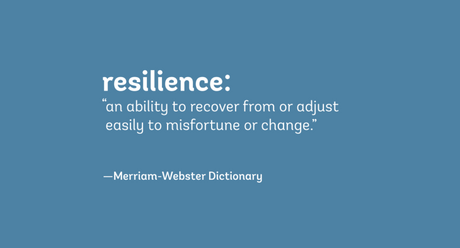 The Significance of Resilience across Various Industries