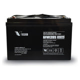 Vision 6FM Series High Temp Battery