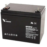 Vision 6FM Series High Temp Battery